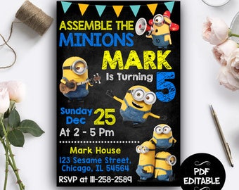 Minion Despicable me inspired idea for kids birthday Party