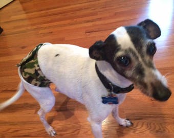 Dog Denton. Male Dog Belly Band, Male Dog Diaper, Custom Fit Male Dog Belly Band. Super Strong Belly Band