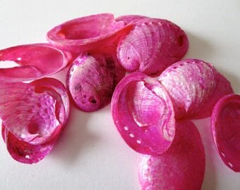 10 g of dyed shell Pink for your creations.