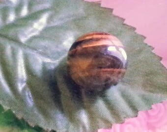 1 Pearl no hole diameter 16mm Tiger eye