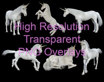 Unicorn Overlays, 6 PNG Digital Unicorns, Photoshop Overlays, Unicorn Clipart, PNG Overlays, Fantasy Creatures, Compositing Resources