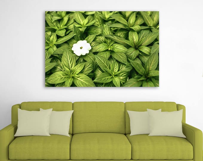 Green flowers, beautiful canvas, flower, cute, canvas, Interior decor, room design, print poster, art picture, gift