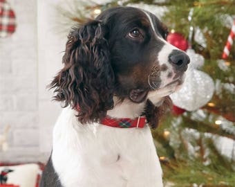 Personalized Christmas Tartan Dog Collar by Mudpie®, Monogram Dog Collar, Embroidered Dog Collar