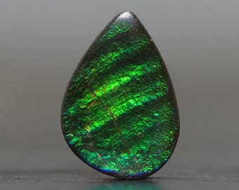 Ammolite Cabochon Shell Fossil Iridescent Matrix Natural AAA Canada - High Quality Designer Gemstone, Ammonite High End Jewelry (CA9491)