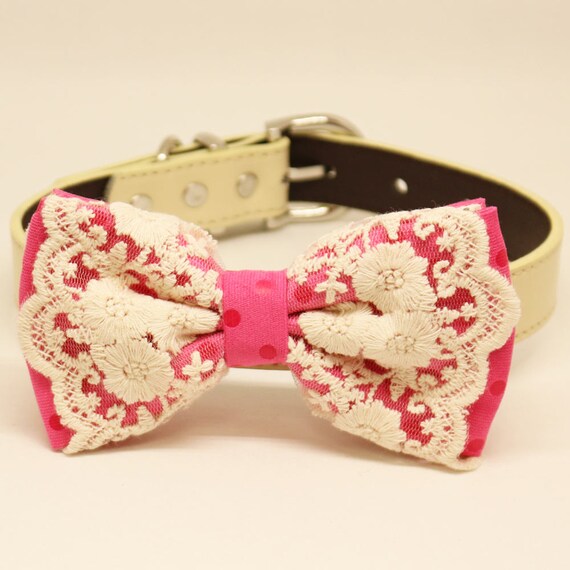 Hot Pink Lace dog bow tie collar Dog collar Ivory Polka