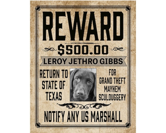 Wanted poster for your animal or person. 8 by 10 inch print or