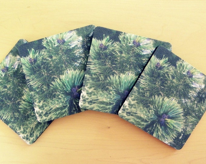 GREEN PINE Coaster Set created by Pam Ponsart for Pam's Fab Photos; it's just 'the ticket' for a Special Person on your shopping list