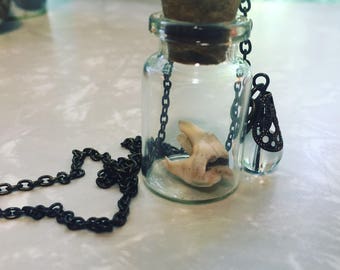 Real deer tooth bottle charm necklace creepy oddity