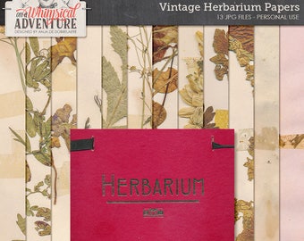 Pressed Plants, Herbarium Album, Dried Flowers, Digital Backdrop, Instant Download, Paper Pack, Woodland Clipart, Papercraft, Scrapbooking