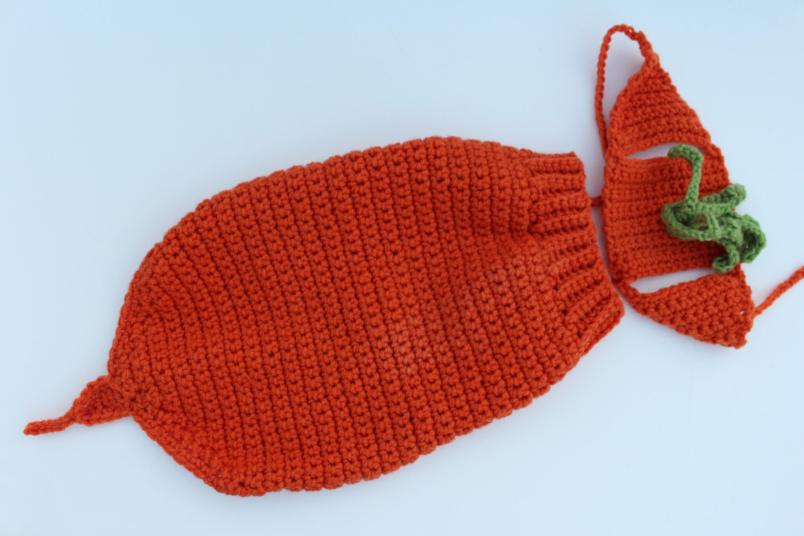 Carrot Pet Costume Halloween Dog Costume Made to Order Cat