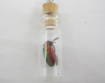Beetle Specimen in Jar Pendant Necklace