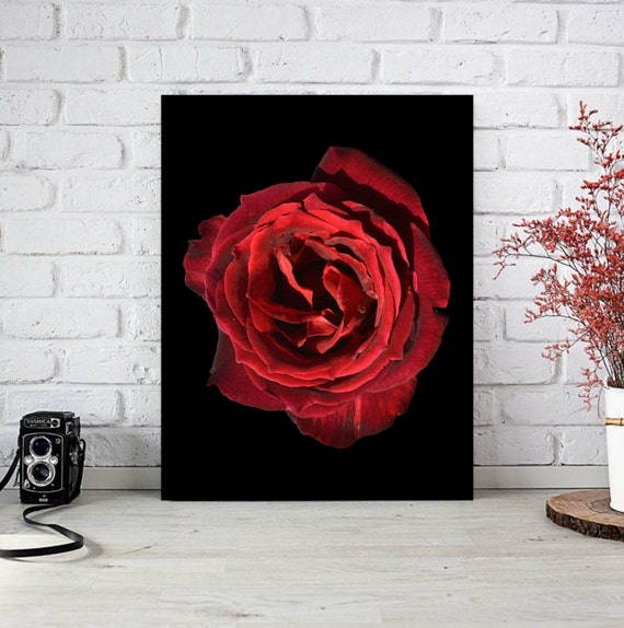 Red Rose Print Red Rose Wall Art Rose Photo Prints of