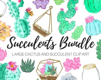 Watercolor clip art - Succulent clip art - Floral Clip Art - Terrarium Clip Art - Cactus Clip Art - Commercial use