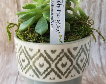 Watch me grow Succulent Stake, Succulent Stake, Baby Shower Favor Plant Tag, Flag Tag, Plant Stake, Baby Shower, Favor, Baby Sprinkle (S12)