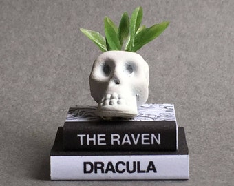 Miniature Halloween Decoration, Miniature Skull Planter and Books, Dollhouse Halloween Decoration