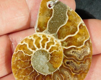 A Beautiful 200 Million Year Old! Ammonite Fossil Pendant or Necklace 2.29