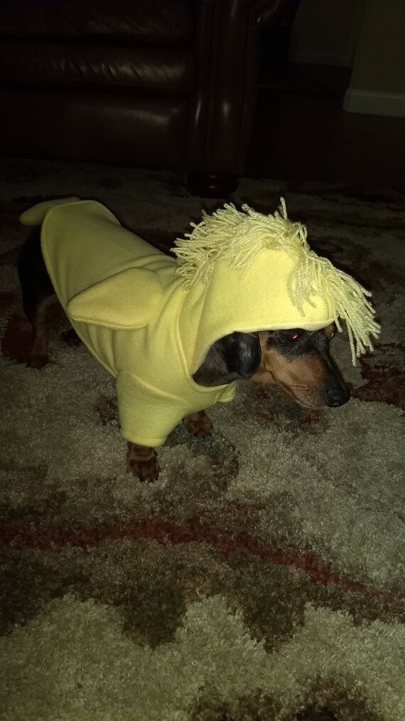 The Peanuts Woodstock dog costume Halloween dog costume