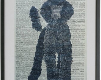 Black Poodle Print No.538, poodle print, poodle poster, dictionary art prints, dog lover, french poodle, poodle gifts