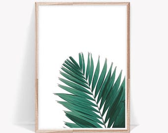 Botanical Print,Palm Leaf Print,Botanical,Art Prints,Leaf,Wall Art,Leaf Print,Palm Leaf,Large Wall Art,Green,Wall Decor,Poster,Printable Art