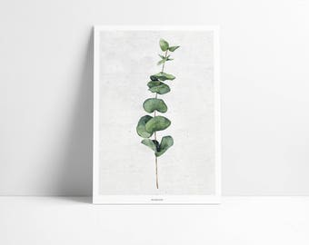 Cartel / planta Nº. 1