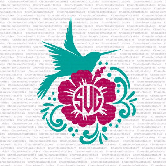 Download hummingbird for monogram multicolor SVG eps png jpeg dxf