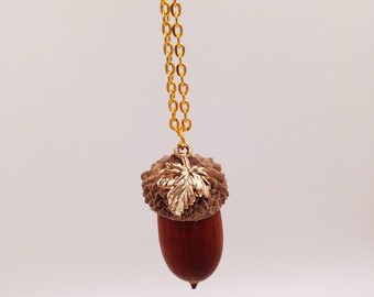 Nut "Goldnuts" Genuine acorn necklace gold