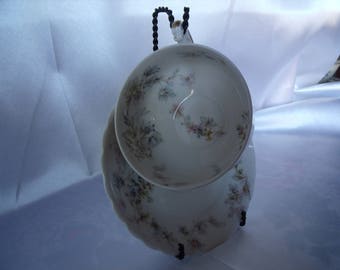 Tea Cup and Saucer, Haviland & Co, Limoges, France