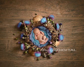 Newborn digital background digital backdrop Newborn Backdrop prop baby girl or boy flowers nest wreath Digital Photography#14