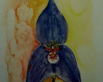 watercolor of a beautiful dark Orchid