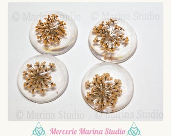 Orange cabochon resin 25mm colors dried flowers