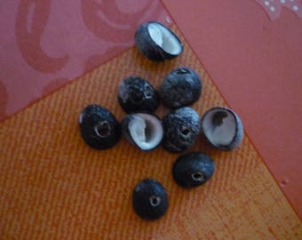 16 black 15 mm x 12 mm drilled snail shells