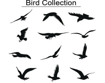 12 Birds svg, Bird Silhouette, Birds Clipart, Animals Silhouettes, Silhouette Files, Birds Cut Files, Birds, Cricut,file eps,svg,png,jpg,pdf