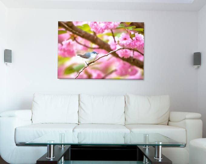 Bird In Blossom canvas, Small Birds Posters, Washington Township canvas, Interior decor, room decor, print poster, art picture, gift