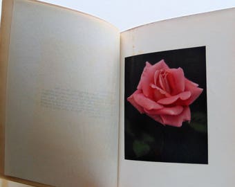 1914 Rose Growing