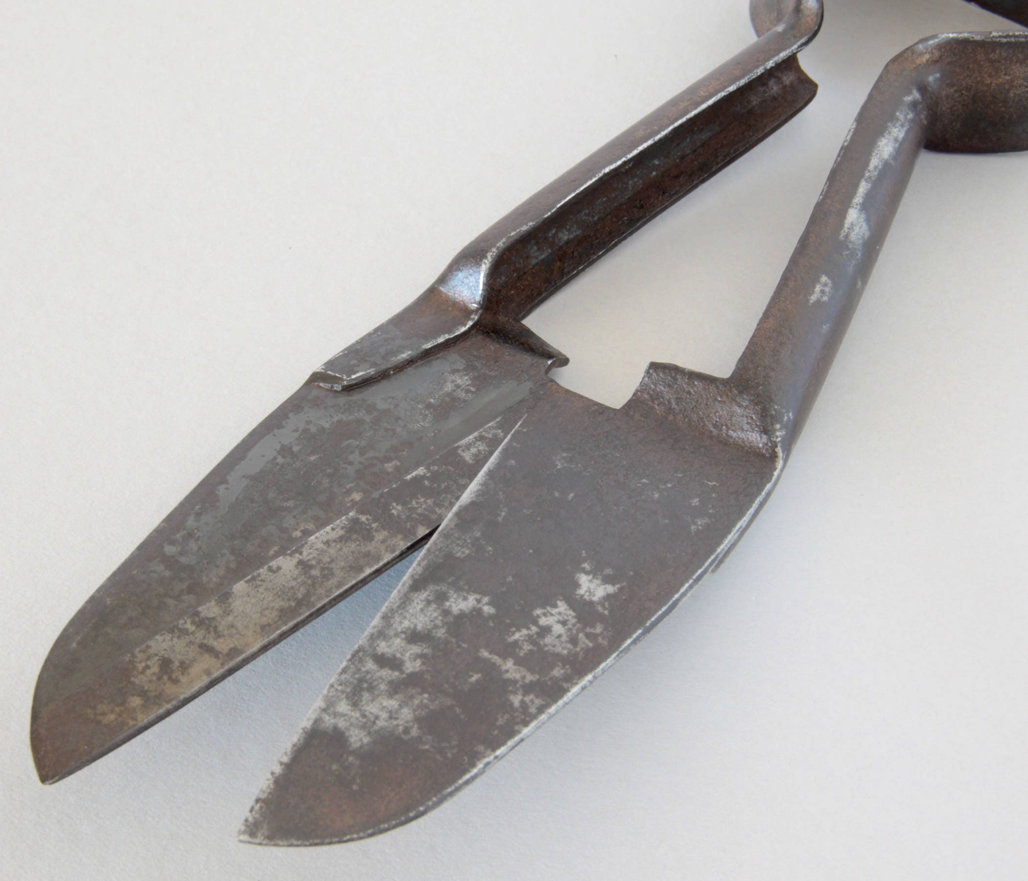 Vintage Sheep Shears Farmhouse Decor Primitive Tool