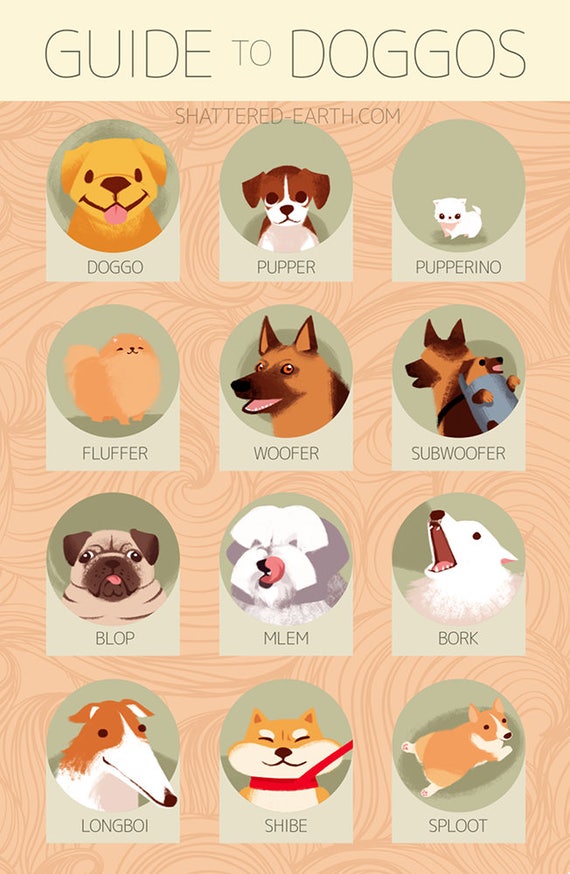 Guide to Doggos Doggo Poster Print with Puppers Fluffers