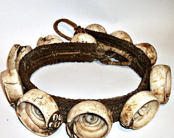 Shell currency | Etsy