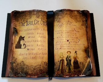 Black Cat Curse and Life Potion Spell Book Hocus Pocus
