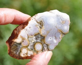 Ocean Jasper slab one side polished Metaphysical Crystal (0736) Uplifting