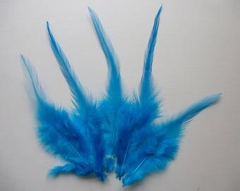Turquoise feathers. dyed rooster feathers. 3-5inches. 8-13cm. hat making, sewing, hair accessories
