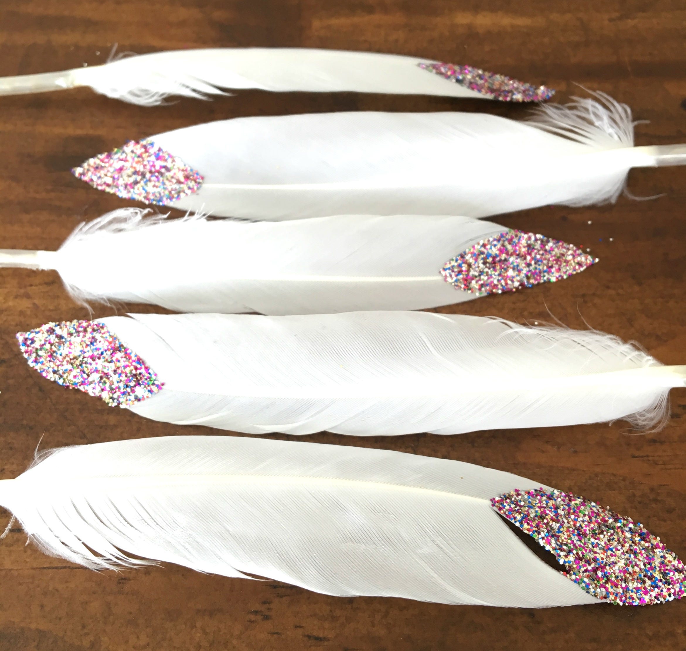 Hand Painted Feathers Craft Feathers --- DIY Feathers Boho Art Rainbow ...