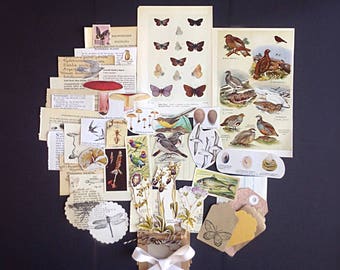Unique Vintage biology / natural history ephemera and neutral collected paper pack