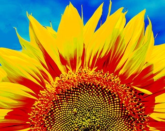 Sunflower Wall Art sunflower home decor | etsy Sunflower Wall Art sunflower home decor | etsy