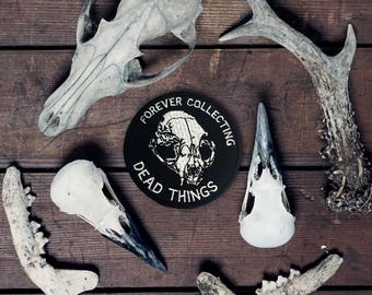 Cat Skull Taxidermy Embroidered 8cm (3") Circular Iron-on/Sew-on Patch 'DEAD THINGS', by Vector That Fox
