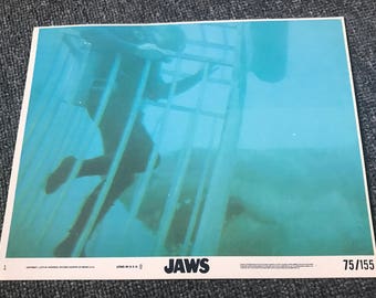 Two Vintage Original 1975 JAWS Small Lobby Cards! Roy Scheider! Robert Shaw! Richard Dreyfuss! Great White Shark! Steven Spielberg!