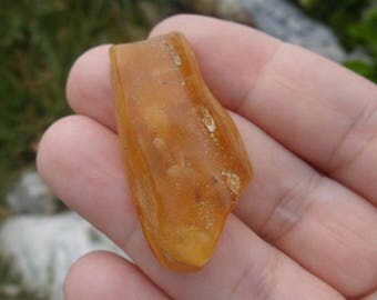 Amber with Insect, fossil, prehistoric bug