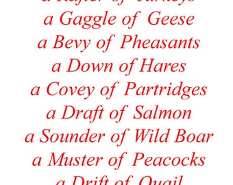 Gift Tag - Collective Nouns for Animals, Birds, Fish & Insects