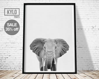Elephant Print, Nursery Decor, Animal Photography, Nursery Animals, Elephant Photography, Animal Printables, Safari Animals, Nursery Print