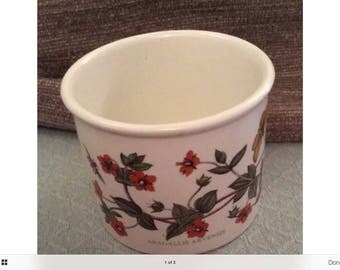 Portmeirion Botanic Garden - "Scarlet Pimpernel - Plant Pot - 1972