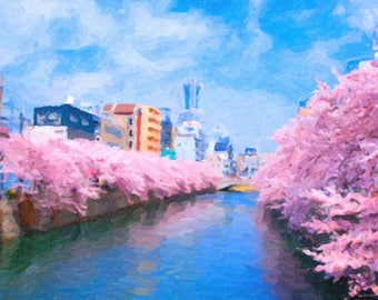 Sakura (Japanese Cherry Blossom) in Kyoto